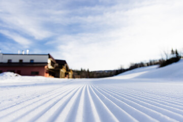 Ski Resort Cord corduroy