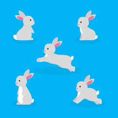 This is a set of rabbit