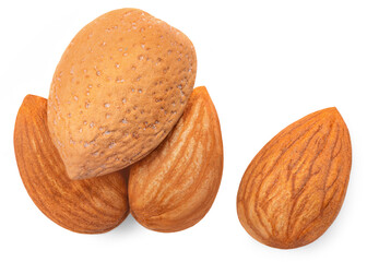 Almonds isolated on white background. Almond nut raw piece collection set.