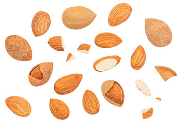 Flying Almonds Collection isolated on white background. Almond nut Pattern cloceup.