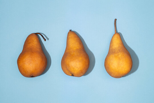 Three Bosc Pears on a blue paper background with shadows