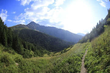Obraz premium Tatra mountains in the summer, Bielskie tatry
