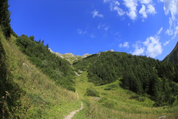 Fototapeta na wymiar Tatra mountains in the summer, Bielskie tatry