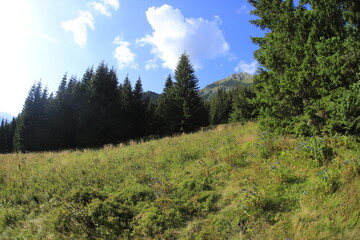 Fototapeta na wymiar Tatra mountains in the summer, Bielskie tatry