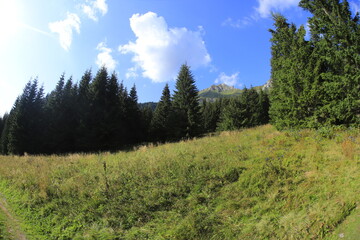 Tatra mountains in the summer, Bielskie tatry