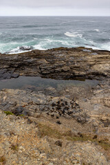 Hiking along the rough coast at Pichilemu, Chile