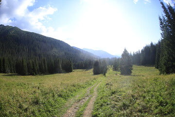 Tatra mountains in the summer, Bielskie tatry