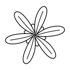 Vector Floral Outline