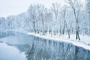 Landscape of a lake in a snowy forest in winter.