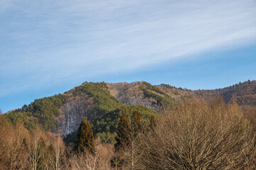 雪が残る山と枯れ木の風景　辰野町