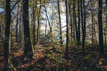 Herbststimmung im Zabergäu