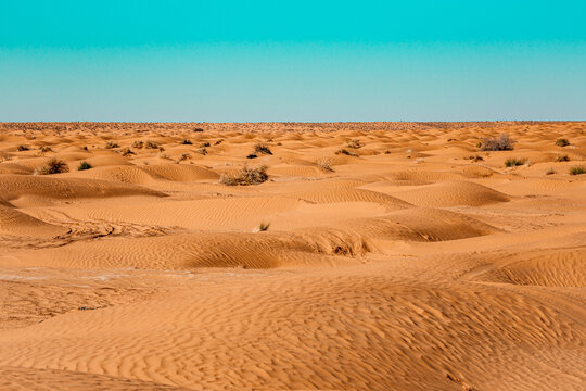 Sahara Tunisien - Lybien 