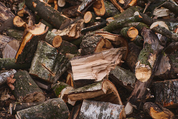                                chopped firewood. A pile of logs. Trees has been cut and split into firewood to be used as fuel for heating in fireplaces and furnaces