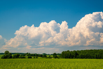 blue sky background with white striped clouds in heaven and infinity may use for sky replacement.