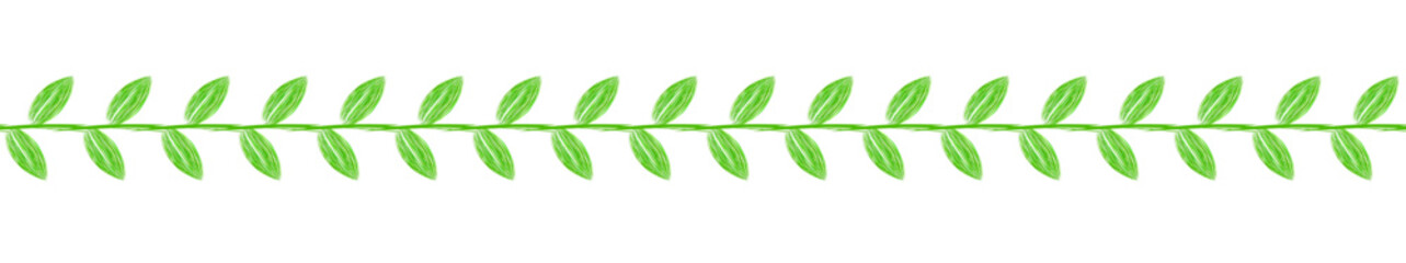 Zielona roślinna linia z liści - obrazy, fototapety, plakaty
