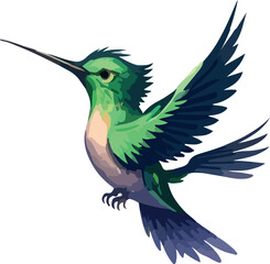 Beautiful and colorful hummingbird