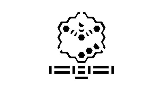 james webb space telescope glyph icon animation