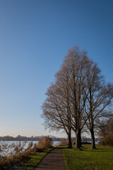 Dutch countryside at the beginning of winter. Trees have almost lost all their leaves next to the waterways in Reeuwijk