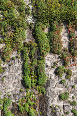 vieux mur fortifier de rempart de Genève