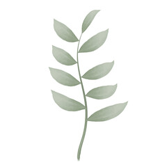 Floral element on white background 