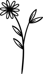 Line botanical element. Floral branch. Linear flower. Botanical decor for logo, wedding decoration, cards 