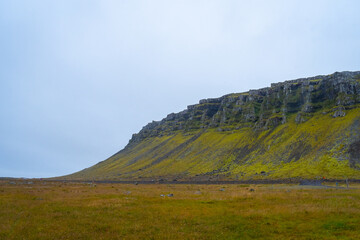 Fototapeta na wymiar Landscape of the East Fjords (Iceland)