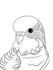 Black and white parrot portrait. Idea for stickers, print, art, books, cartoon, graffiti, icon, coloring book for kids