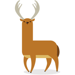 curious big horned male deer
