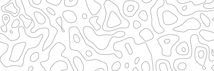 The stylized height of the topographic contour in lines. The concept of a conditional geography scheme and the terrain path. Black & White. Ultra wide size. Vector illustration.