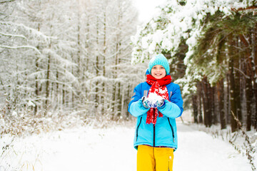 Fototapeta na wymiar happy boy in winter bright clothes holds a snowball in his hand, walks through the snowy forest