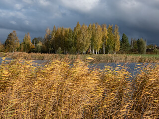 Beautiful landscape of autumn scenery with big lake, spur trees, birch trees and vegetation in...