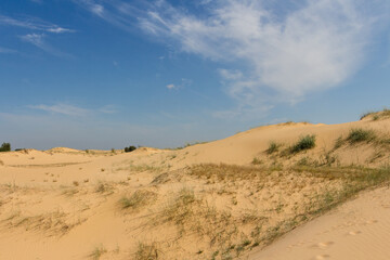 View of the Oleshkiv sands - the Ukrainian desert near the city of Kherson. Ukraine