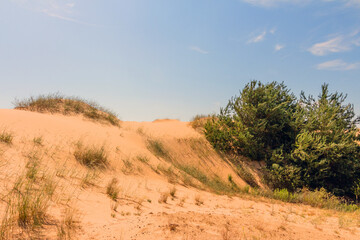 View of the Oleshkiv sands - the Ukrainian desert near the city of Kherson. Ukraine