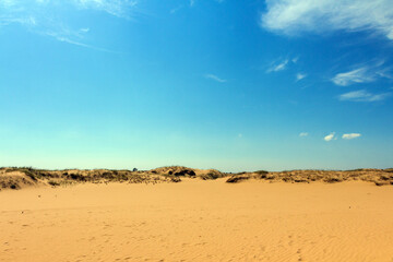 View of the Oleshkiv sands - the Ukrainian desert near the city of Kherson. Ukraine