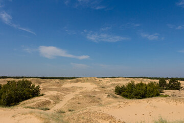 View of the Oleshkiv sands - the Ukrainian desert near the city of Kherson. Ukraine