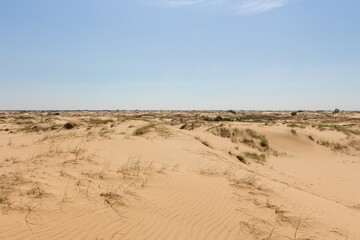 View of the Oleshkiv sands - the Ukrainian desert near the city of Kherson. Ukraine