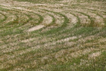 Curve mowed pattern on grass field.