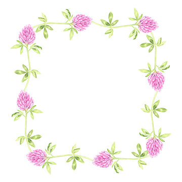 Square wreath of blooming clover. St.Patrick 's Day. Watercolor illustration. Isolated on a white background. For your design goods for a garden, stickers, organic products