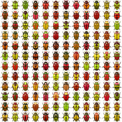 A 3D colourful collection of beatle bugs 