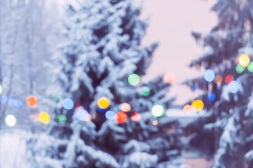 Snow-covered spruce trees in a winter park. Colorful bokeh lights.