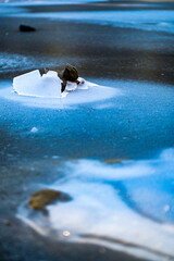 art on ice