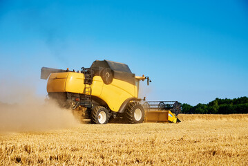 Obraz premium Combine harvester harvesting golden wheat field, harvester working in an agricultural field, harvest season