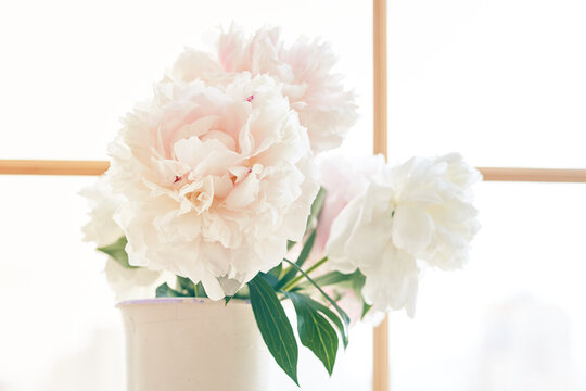 A beautiful bouquet of white peonies stands on the windowsill against the background of the window. Floral decor and composition. With space to copy. High quality photo