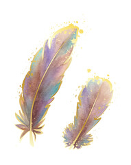 Hand-drawn feathers watercolor. Vector illustrations.