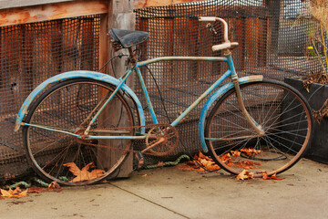 Obraz premium vintage bicycle