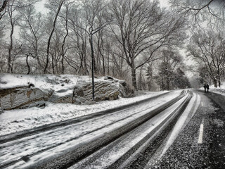 Snowy Road 