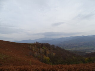 Fototapeta premium landscape in the mountains