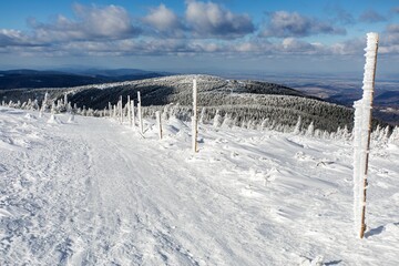snowy forest on mountain, Jeseniky mountains