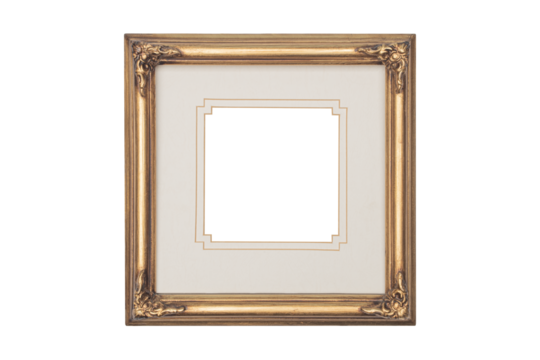 Thin gold antiqued frame with mat