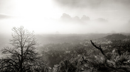 Black and White Foggy Morning in Arches